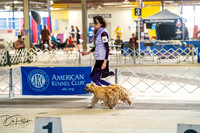 20260327-DSC05362