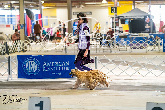 20260327-DSC05362