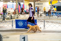 20260327-DSC05365