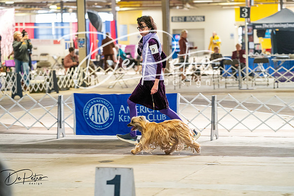 20260327-DSC05365