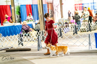 20260327-DSC05378