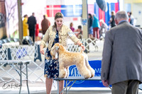 20260327-DSC05399