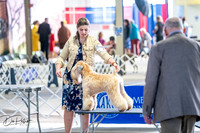 20260327-DSC05398