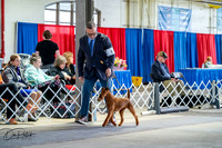 20260327-DSC05451