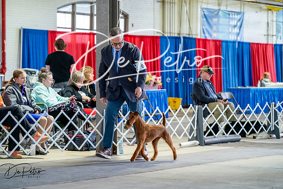 20260327-DSC05451