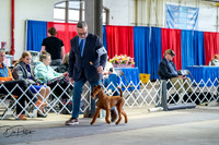 20260327-DSC05455