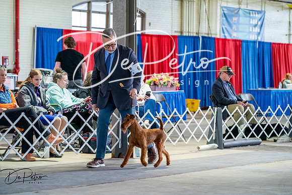 20260327-DSC05455
