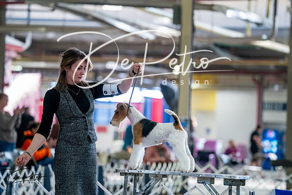 20260327-DSC05492