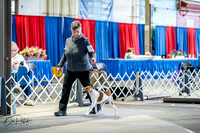 20260327-DSC05466