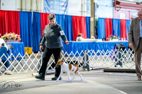 20260327-DSC05462