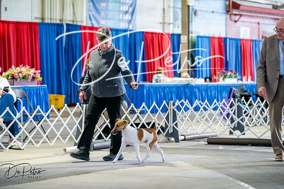 20260327-DSC05462