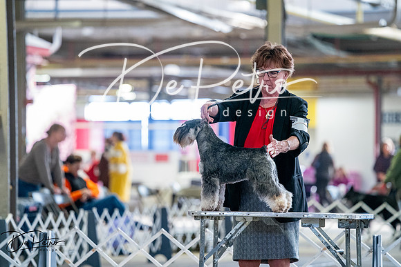 20260327-DSC05530