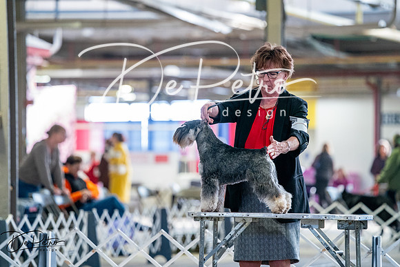 20260327-DSC05532