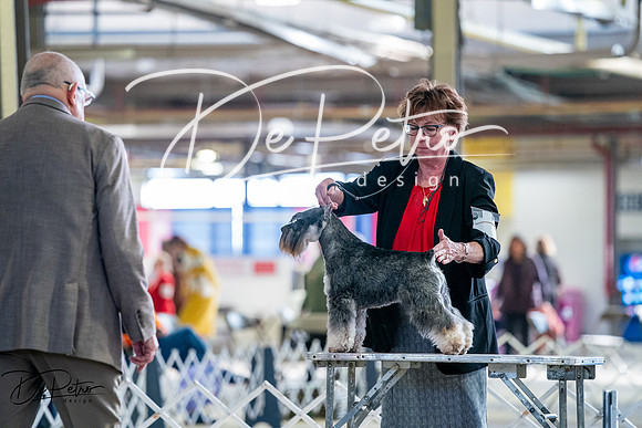 20260327-DSC05538