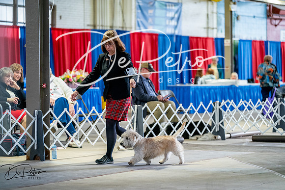 20260327-DSC05575
