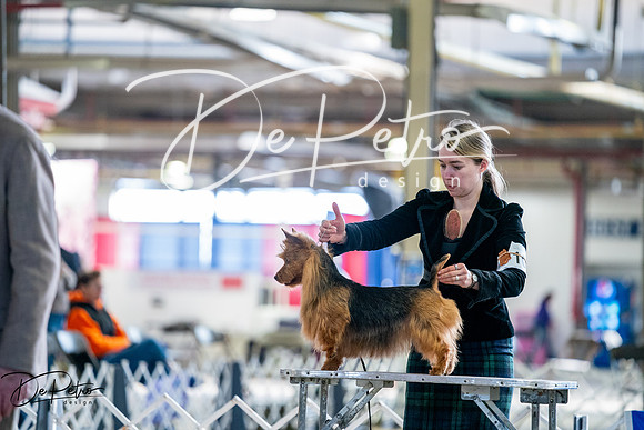 20260327-DSC05669