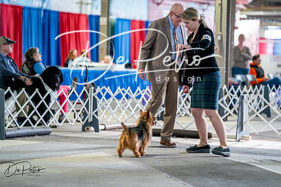 20260327-DSC05709