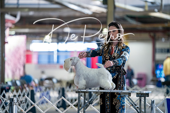 20260327-DSC05750
