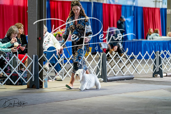 20260327-DSC05787