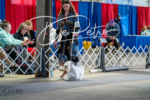 20260327-DSC05791