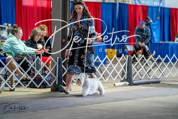 20260327-DSC05793