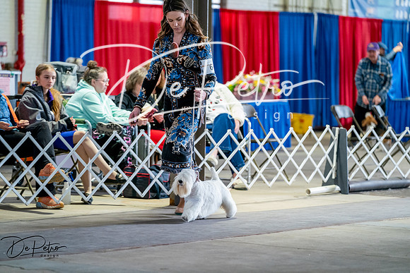 20260327-DSC05799
