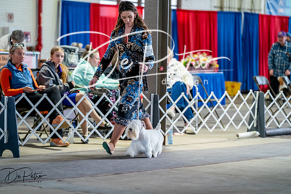 20260327-DSC05802