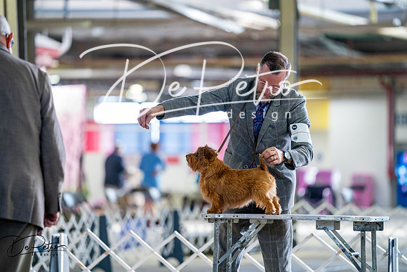 20260327-DSC05823