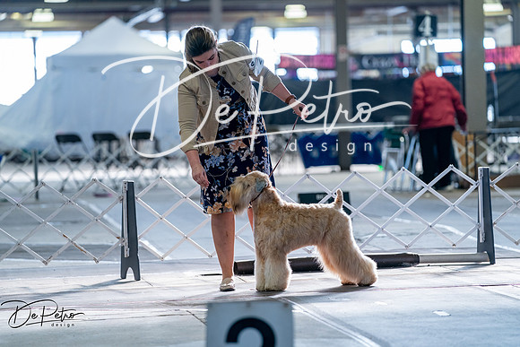 20260327-DSC05852