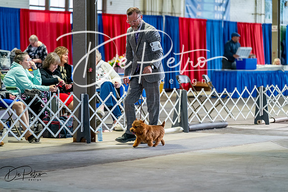 20260327-DSC05872