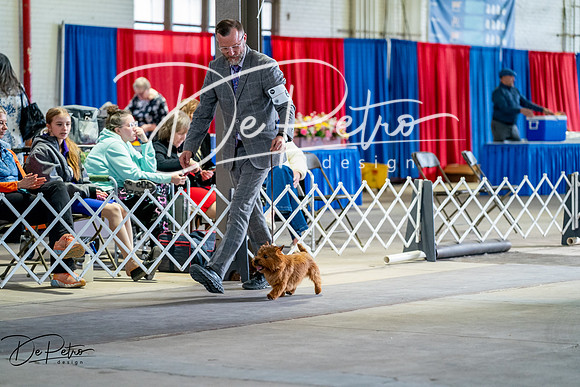20260327-DSC05881