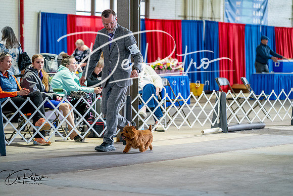 20260327-DSC05884