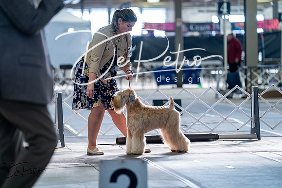 20260327-DSC05936