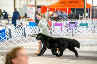 20260328-DSC05963