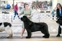20260328-DSC05969