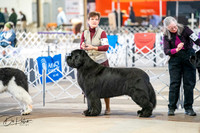 20260328-DSC05974