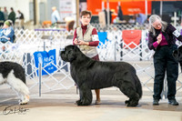 20260328-DSC05975