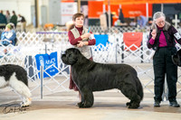 20260328-DSC05976
