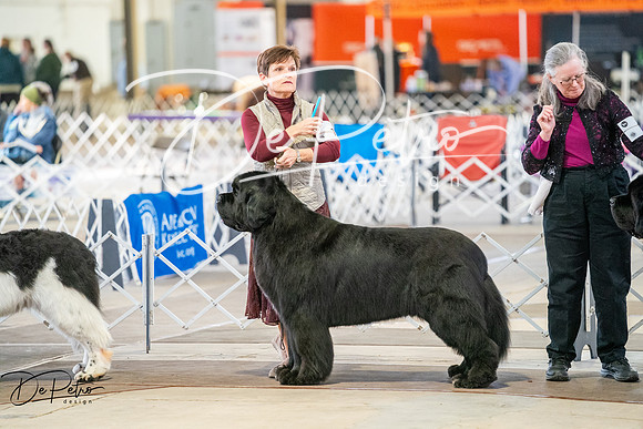 20260328-DSC05976