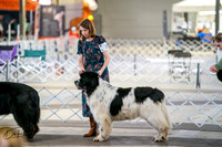20260328-DSC05986