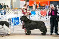 20260328-DSC05978