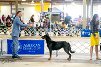 20260328-DSC05997