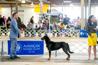 20260328-DSC05998
