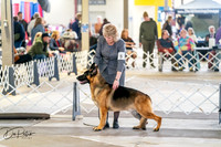 20260328-DSC06022