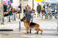 20260328-DSC06023