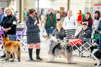 20260328-DSC06028