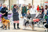 20260328-DSC06029