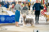 20260328-DSC06040