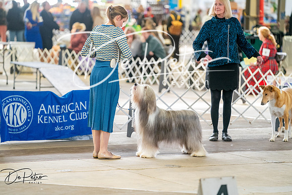 20260328-DSC06041