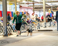 20260328-DSC06215